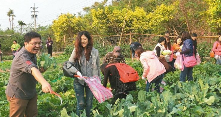 「鄰鄉良食」與中強光電聯手闢希望農場 小農外配有頭路