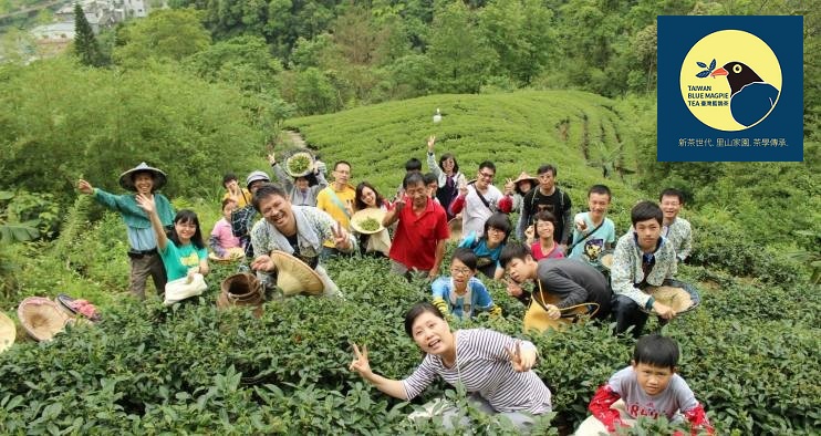 台灣藍鵲茶 打造坪林生態村